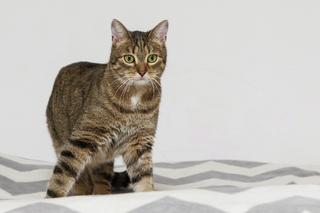 Superia i Expreś szukają domu