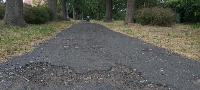 Nie będzie jazdy po dziurach. Fragment ścieżki wzdłuż al. 21 Października w remoncie