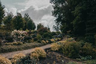 Arboretum Wojsławice pod Wrocławiem