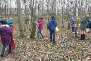 Akcja Szalik dla drzewa w Jaworznie
