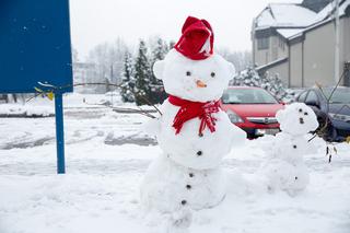 Wir polarny przyniesie do Polski arktyczny mróz? To on pokaże, jaka będzie zima!