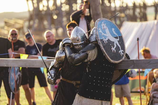 Bitwa, której nie było 1410