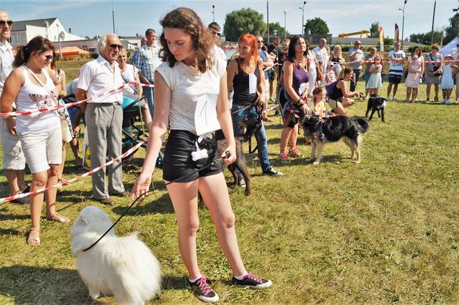 Tort dla zwierząt i pokazy psich sztuczek, czyli Animalia w Gorzowie