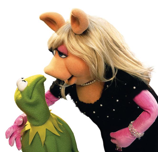 Szok!!! Kermit i Piggy się rozwodzą