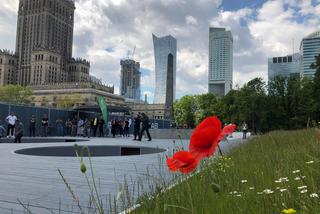 Na placu Defilad powstał skwer aktywności!