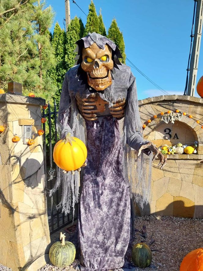 U Łukasza z Pawłowa hasło "cukierek albo psikus" nabiera innego wymiaru. Najbardziej halloweenowy dom świętokrzyskiego