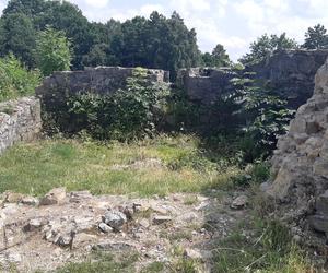 Ruiny średniowiecznego zamku w Tarnowie, na którym w 1528 roku rezydował król Węgier Jan Zápolya 