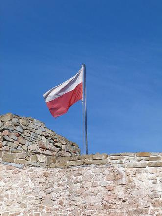 6. Masz flagowy - wniosek nr 0030