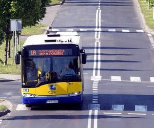 Będziecie jeździć autobusami we Wszystkich Świętych? SPRAWDŹCIE zmiany jakie wprowadziły Kaliskie Linie Autobusowe