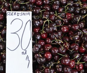  Ceny nowalijek na warszawskich bazarach szokują. Byliśmy i sprawdziliśmy ile trzeba zapłacić