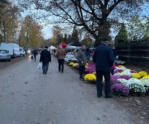 Cmentarz w Łodzi - 1 listopada