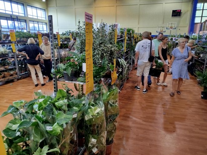 Festiwal Roślin 2025 w Siedlcach