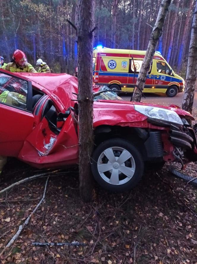 Tragiczny wypadek pod Środą Wielkopolską. Samochód wypadł z drogi i rozbił się na drzewach