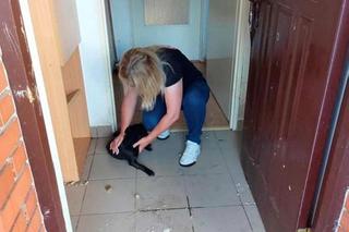 Daria zamknęła Daisy w przedpokoju i pojechała do chłopaka. 20-latka nie przejmowała się psem