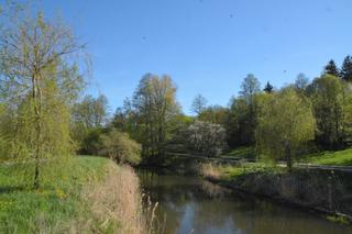 Przed nami koszenie Łyny