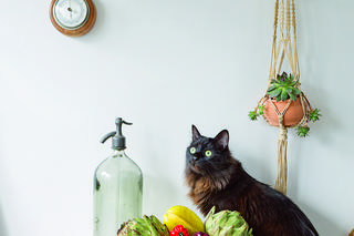 Metamorfoza mieszkania w bloku z wielkiej płyty