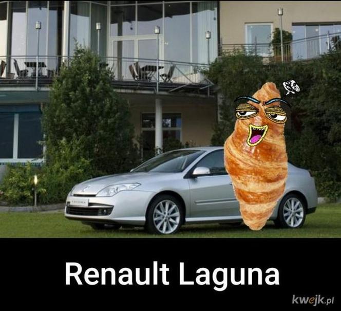 Krakowski lagun to prawdziwy FENOMEN! [MEMY]