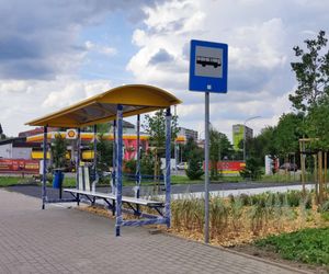 Pasażerowie MPK w Siedlcach będą korzystać z 18 nowych wiat przystankowych