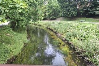 W tym mieście poczujesz się jak w Wenecji. Włoski klimat na północy Polski