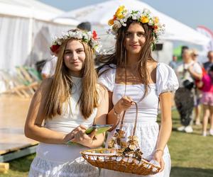 Jesienne Targi Rolnicze w Gryźlinach 2024. Wydarzenie przyciągnęło tłumy. Zobacz zdjęcia