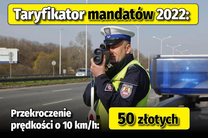 Taryfikator mandatów 2022 