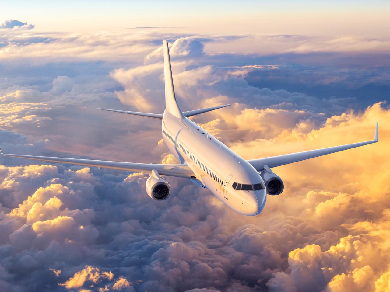 Szybkie wyszukiwanie i rezerwacja lotów. Wyszukiwarka Petal i Map Petal