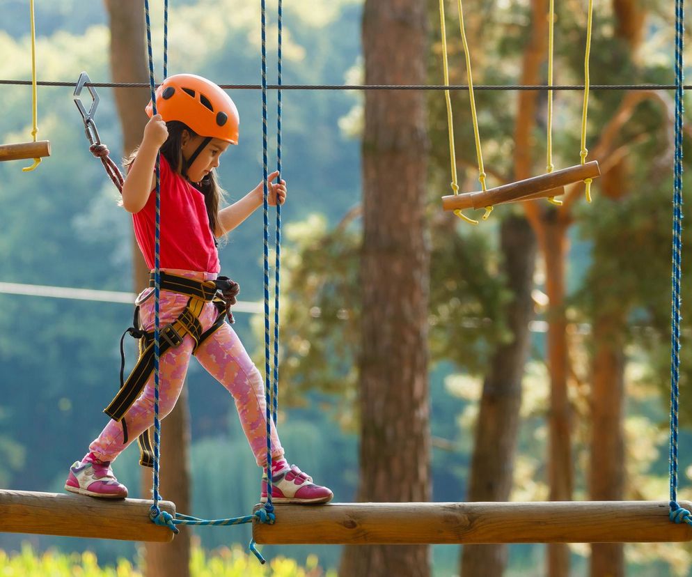 Na mapie Kraśnika pojawi się nowa atrakcja. Rusza budowa parku linowego