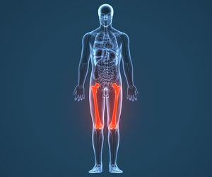 Kość udowa – budowa i funkcje