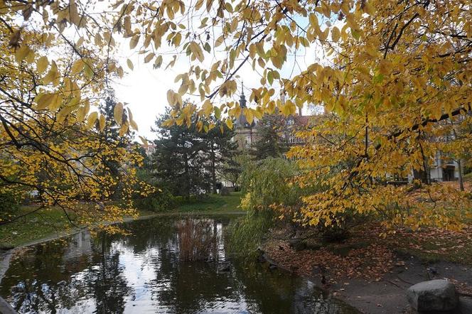 Park Wilsona