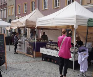 Dni Olsztyna 2025. Dziesiątki wystawców i setki olsztynian na Jarmarku Jakubowym