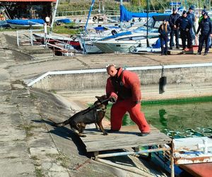 ćwiczenia nad Zalewem Sulejowskim