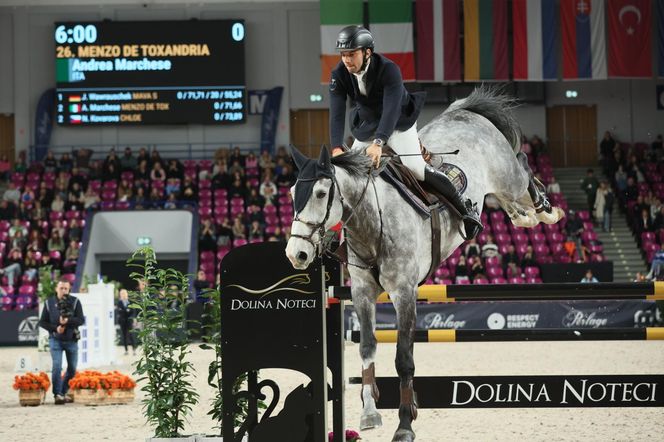 Cavaliada na Torwarze 2025. Reprezentantka Czech triumfuje w Warszawie