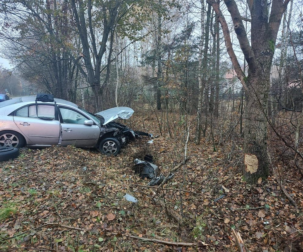 Kośminy: Auto wypadło z drogi.