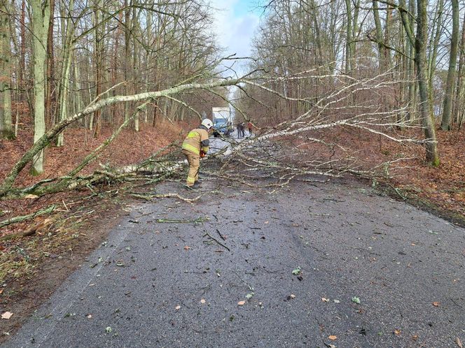 Groźne wichury na Warmii i Mazurach. Drzewo spadło na jadące auto, jedna osoba ranna