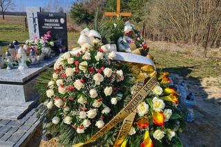 Krowa zabiła rolnika? Bada to prokuratura [GALERIA]