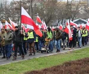 Protest rolników 20 marca w Lublinie. Przeszli ulicami miasta pod LUW
