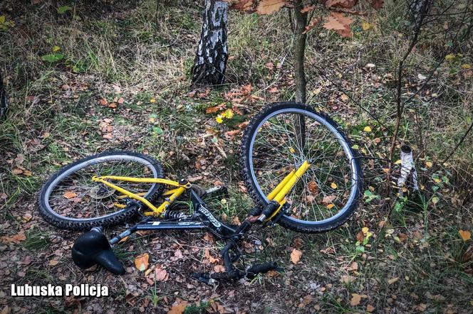 Potrącił go i zostawił w lesie na śmierć. Siercz