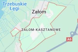 Osiedla w Szczecinie 