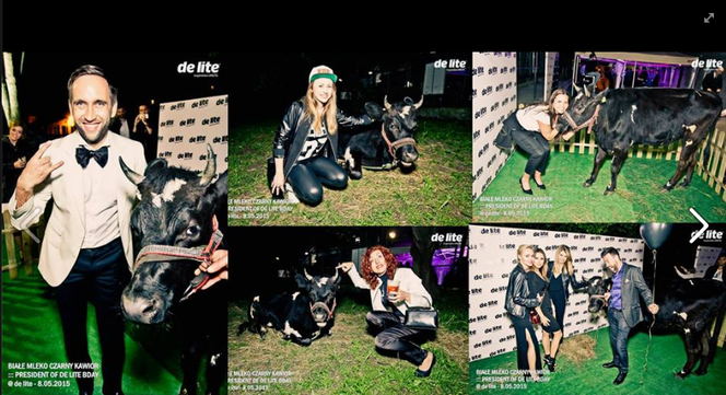 Krowa w De Lite Club