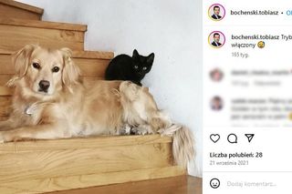 Mieszkanie Tobiasza Bocheńskiego