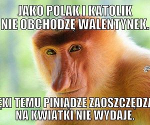 Mamy na walentynki 2025