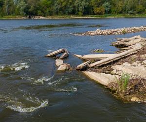 Wisła wysycha - rekordowo nisko poziom wody. Zobacz zdjęcia