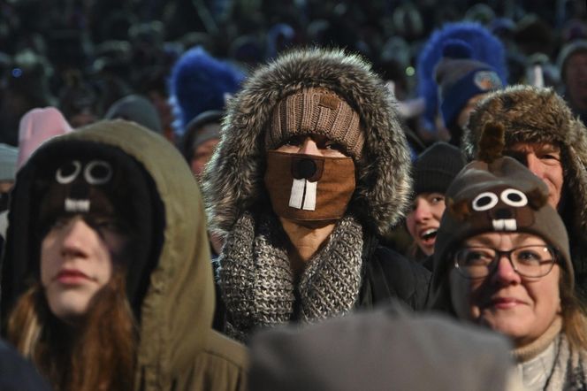 Świstak przepowiedział sześć tygodni zimy