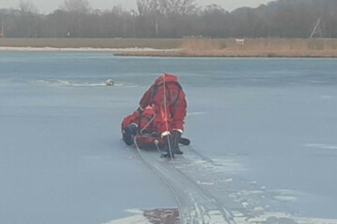 Bohaterstwo strażaków pod Wieliczką! Uratowali tonącego psa, pod którym załamał się lód 