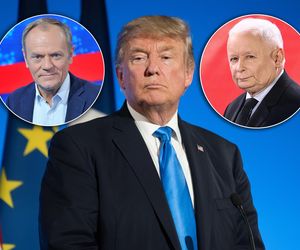 Jest nowy sondaż partyjny. Efekt Trumpa już działa? Prezes zaciera ręce!