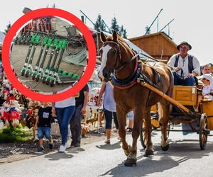 Zakopiańska straż miejska walczy z hulajnogozą. Miasto jednak skorzysta na tych elektrycznych pojazdach