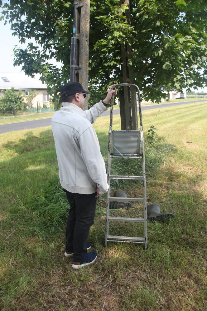 Ratował boćka na słupie, spadł z drabiny
