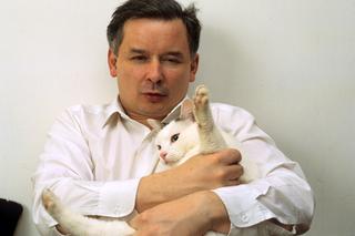Co się dzieje z kotami Jarosława Kaczyńskiego? Niektóre z nich spotkał bardzo okrutny los!