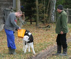 Rolnicy Podlasie. Andrzej z Plutycz oraz jego gospodarstwo