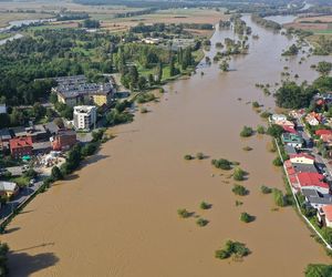 Tak wygląda Oława w czasach powodzi 2024 roku. Poruszający materiał